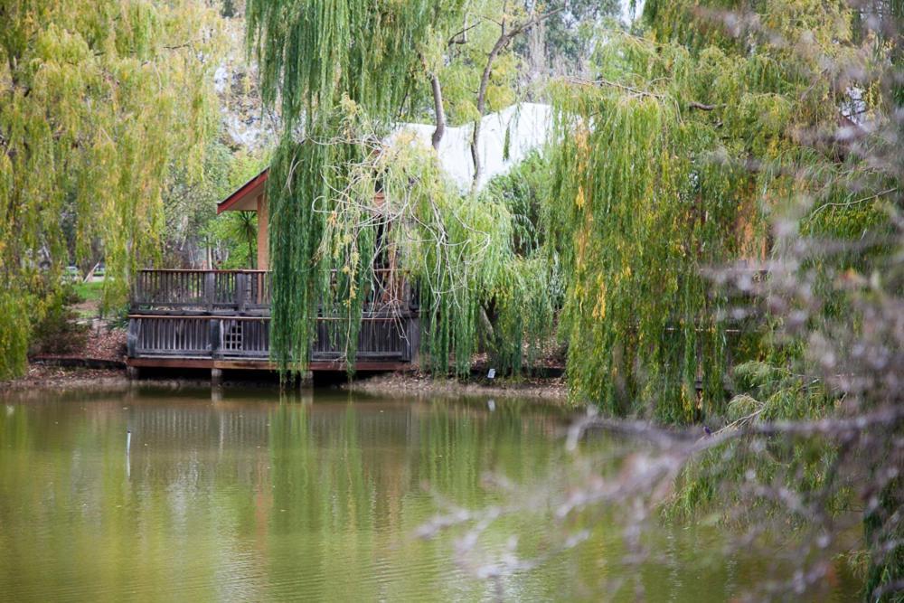 Perricoota Vines Retreat Hotel Moama Værelse billede