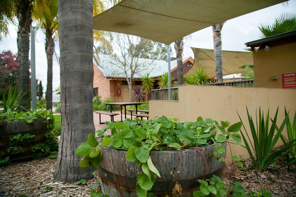 Perricoota Vines Retreat Hotel Moama Eksteriør billede