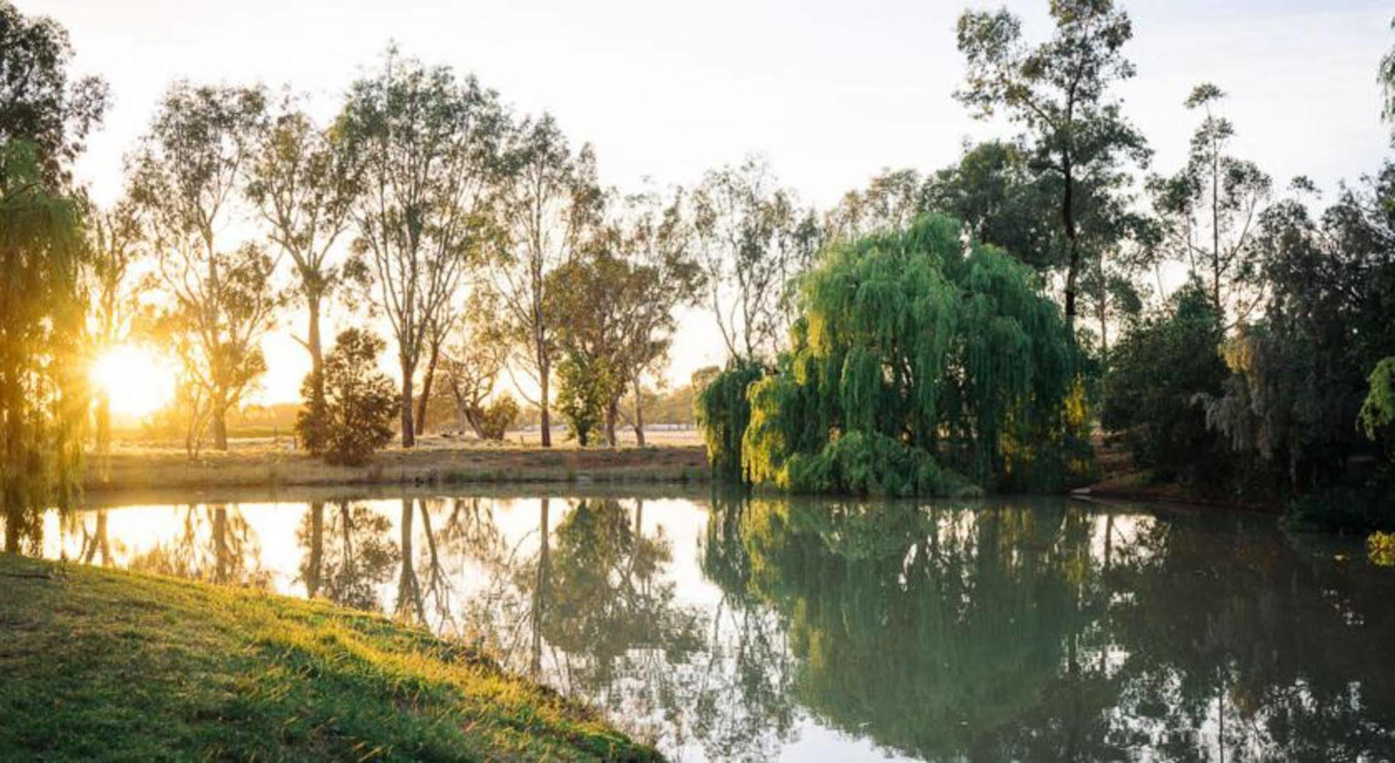 Perricoota Vines Retreat Hotel Moama Eksteriør billede
